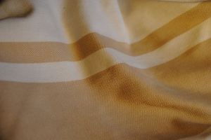 10906619_757614870990655_776726561_o